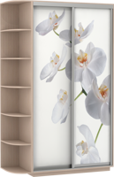 Шкаф-купе двухдверный фотопечать орхидея 120*220*60 см