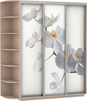 Шкаф-купе трехдверный фотопечать орхидея 180*220*60 см