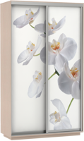 Шкаф-купе двухдверный Хит фотопечать орхидея 120*220*60 см